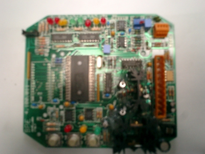 95300423